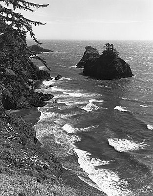 Samuel H. Boardman State Park