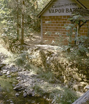 Buckhorn Mineral Springs Resort