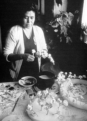 Eva Castellanoz (1939-  )