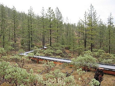 Eight Dollar Mountain