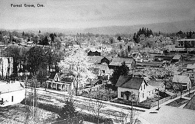 Forest Grove