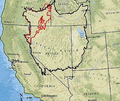 The Northern Great Basin During the Ice Age