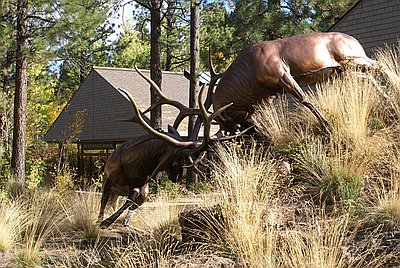 High Desert Museum