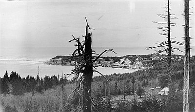 Yaquina Bay Oyster War