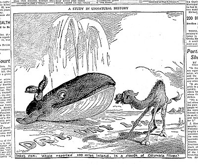 Columbia Slough Orca (1931)