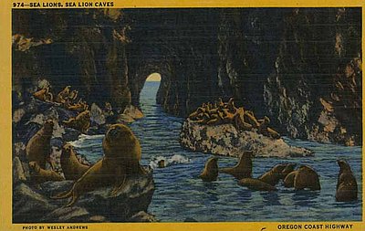 Sea Lion Caves