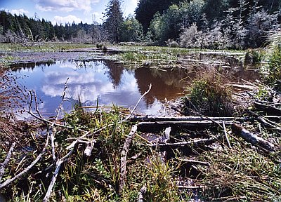 South Slough National Estuarine Research Reserve
