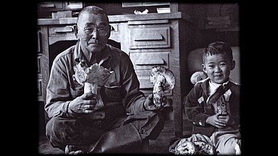 Matsutake (mushroom)