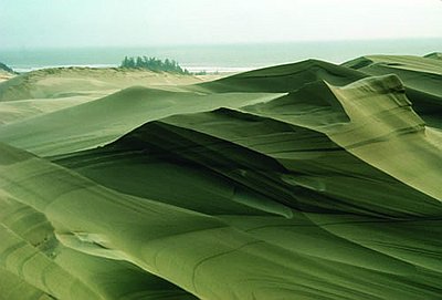 Oregon Dunes National Recreation Area