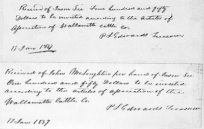 Willamette Cattle Company