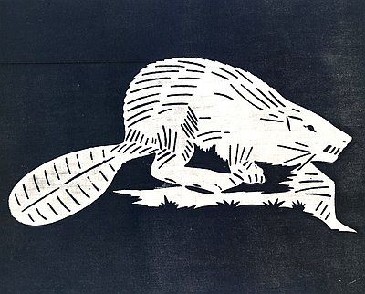 beaver