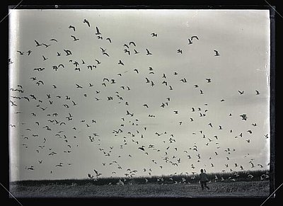 Malheur National Wildlife Refuge
