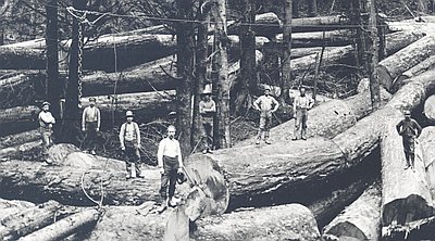 Gyppo Logging in Oregon