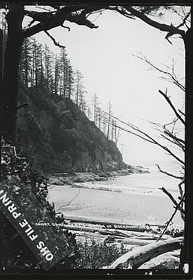 Oswald West State Park