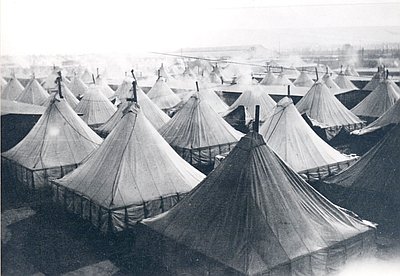 Spruce Production Division