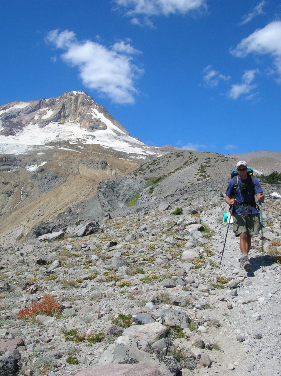 Timberline Trail near Gnarl Ridge, East Side Route