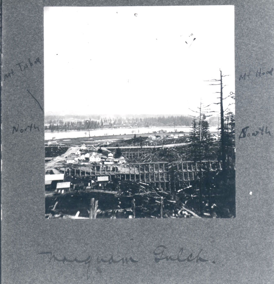 O&C trestle across Marquam Gulch at 4th St. in Portland.