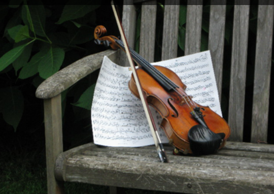 Virginia Euwer Wolff (1937-)