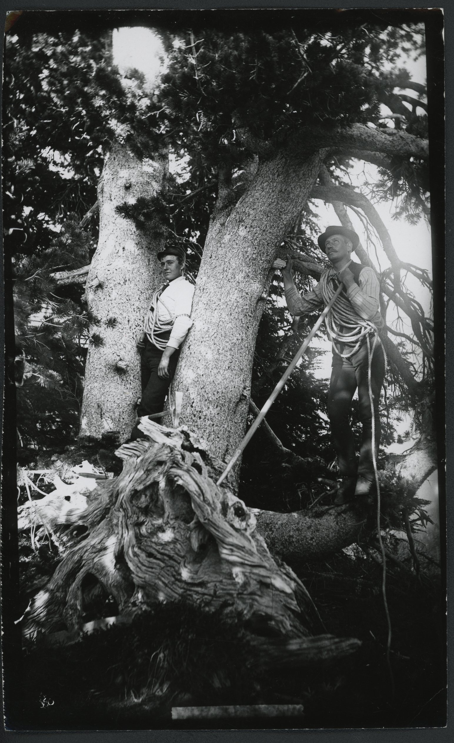 William A. Langille (1868-1956)